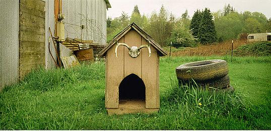 《拳皇15》新DLC角色“四条雏子”公布 今冬上线